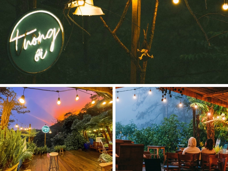Quán Thông Ơi Cafe chill giữa cảnh sắc rừng thông xanh mướt và trong lành