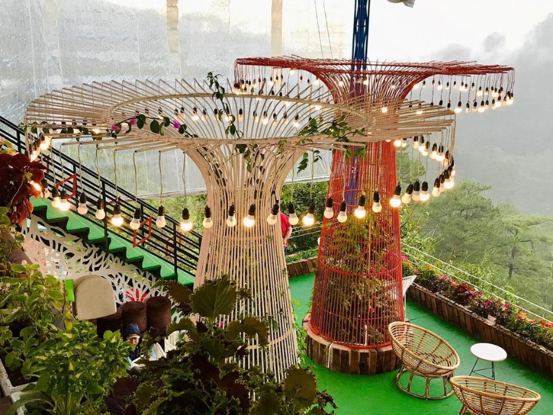 Quán Horizon Coffee trải nghiệm nhâm nhi tách cafe ngắm rừng thông