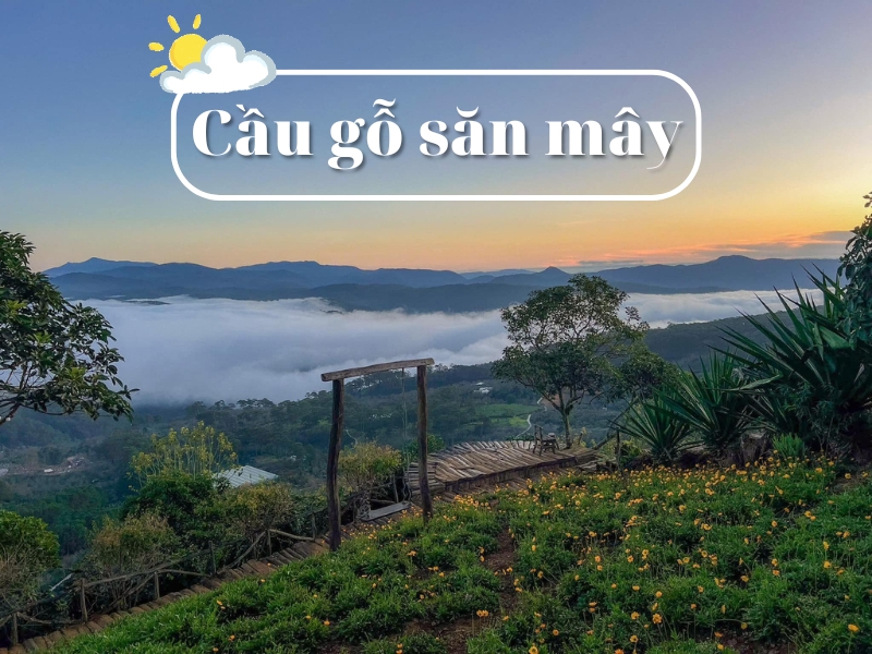 Điểm độc đáo của cầu gỗ để ngắm mây kết hợp giữa kiến trúc và thiên nhiên