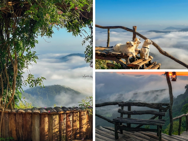 Khám phá thiên đường săn mây lý tưởng tại cầu gỗ săn mây Đà Lạt