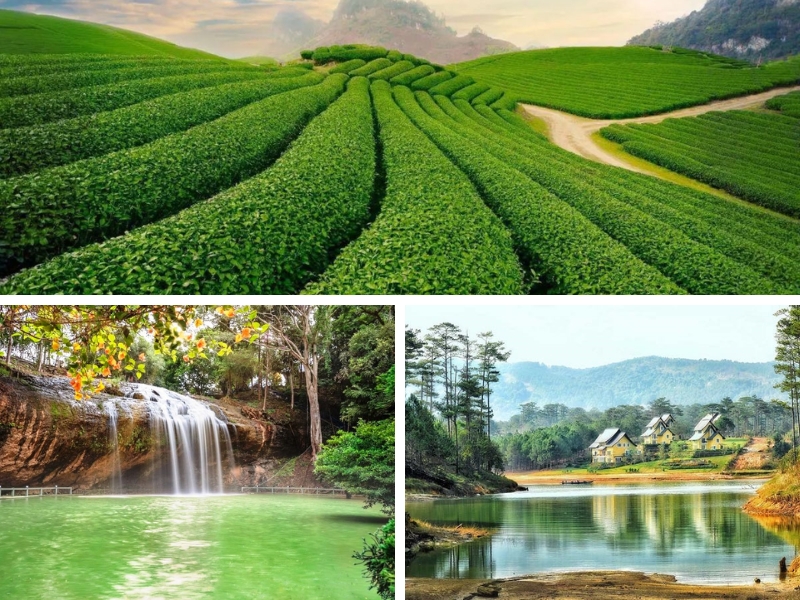 Một số địa điểm săn mây gần cầu gỗ Đà Lạt