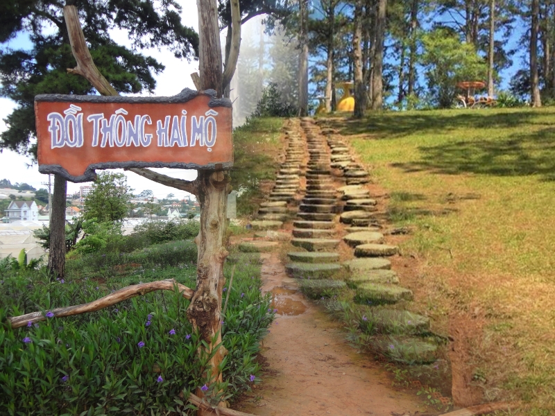 Giới thiệu sơ lược về đồi thông hai mộ tại Đà Lạt - Một chuyện tình yêu bi đát 