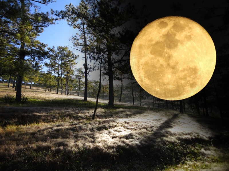 Sự huyền bí vào những đêm trăng, mang đầy cảm giác lãng mạn cũng có chút rợn người