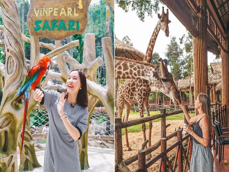 Safari Phú Quốc - Khu bảo tồn lớn nhất Việt Nam